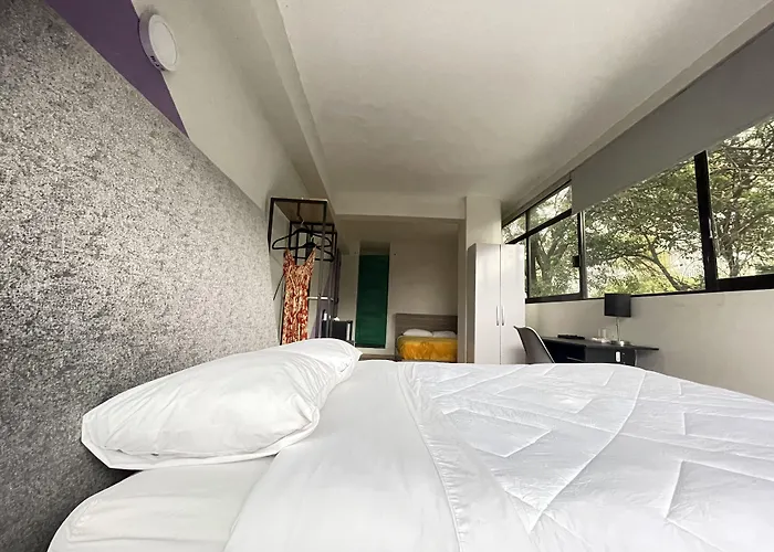 Colmena Cdmx Tonala 3*